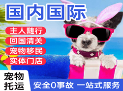 观音航空托运国际宠物托运 【国